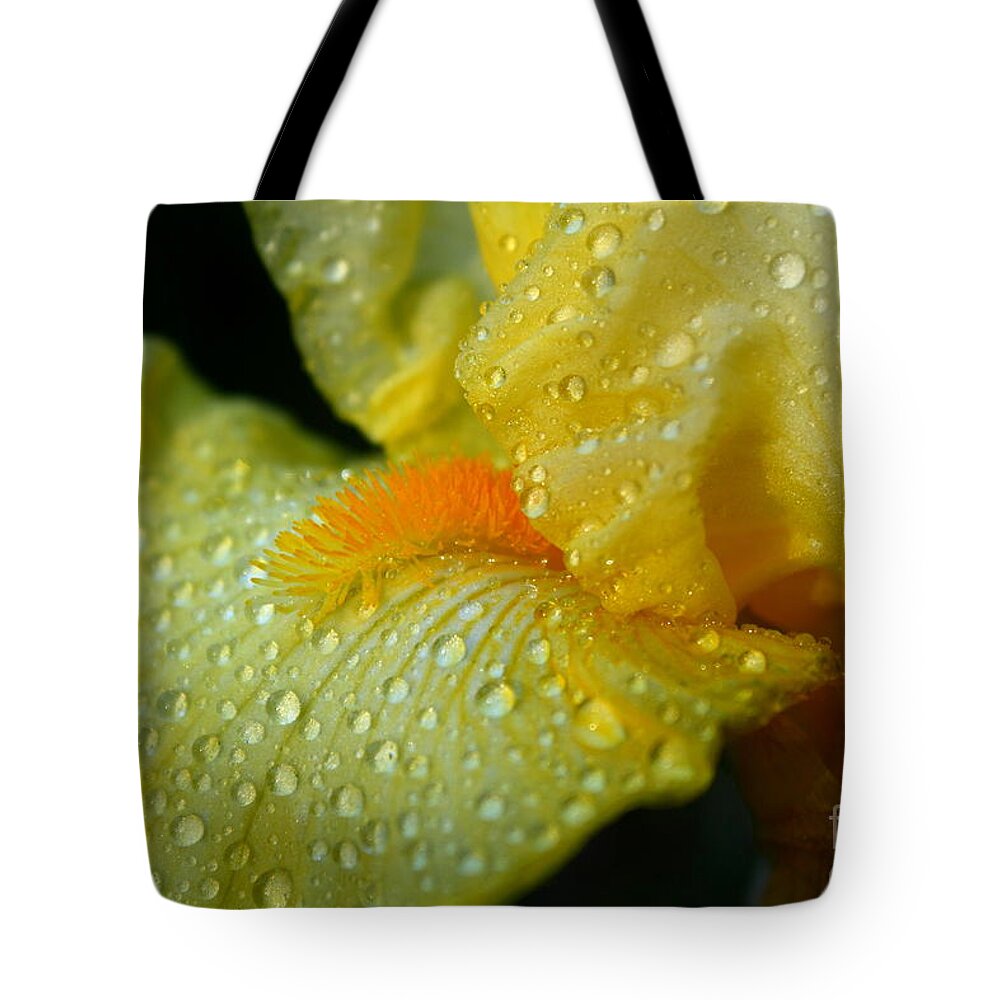 Yellow Beard Tote Bag featuring the photograph Yellow Beard by Patrick Witz