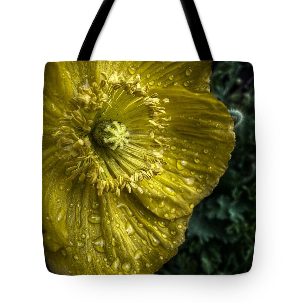  Yellow Flowers Tote Bag featuring the digital art Yellow Beauty by Linda Unger