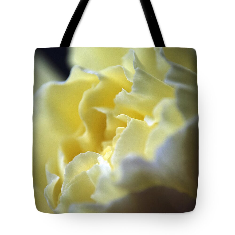 Wall Art Tote Bag featuring the photograph Yellow Beauty by Ron Roberts