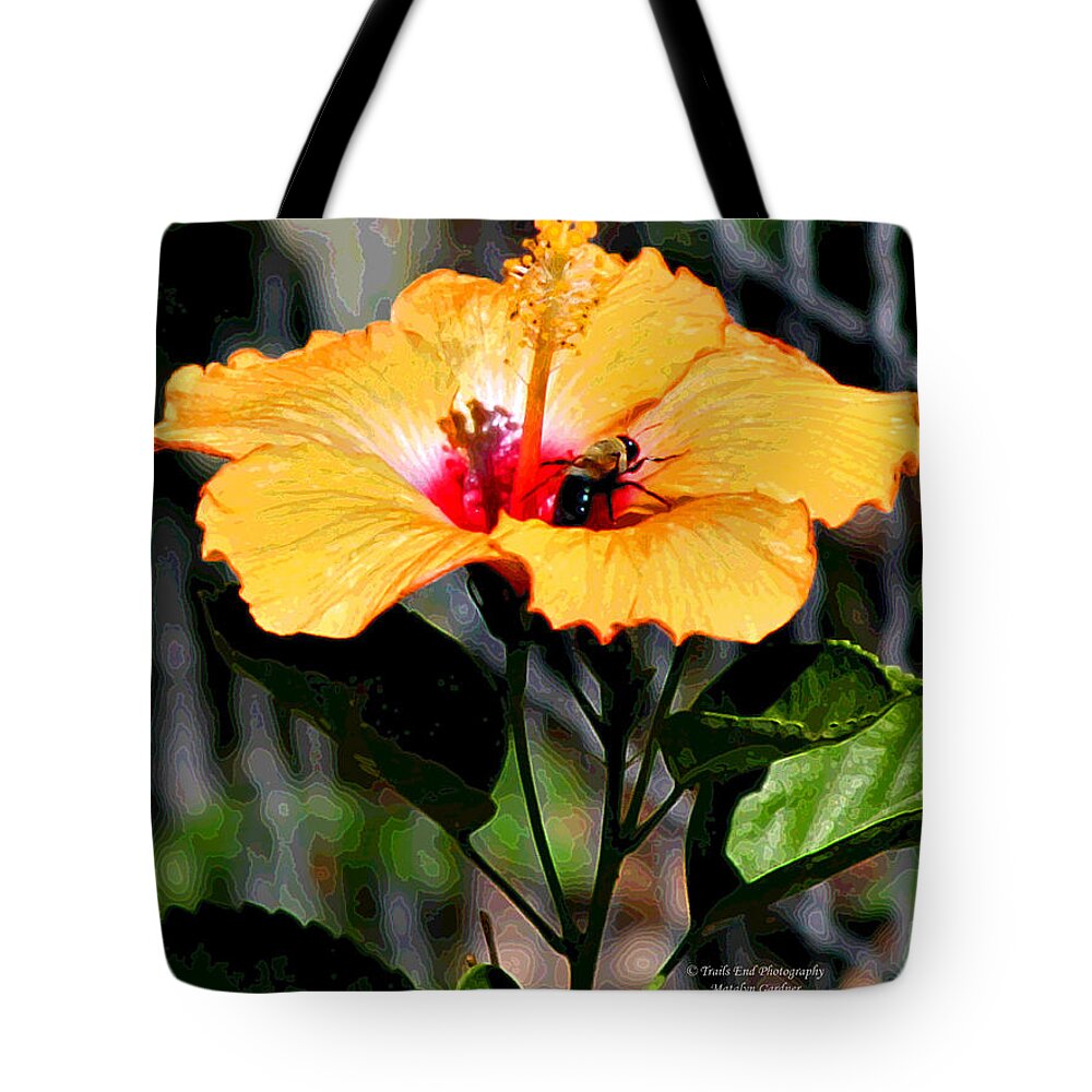 Yellow Tote Bag featuring the photograph Yellow Bumble Bee Flower by Matalyn Gardner