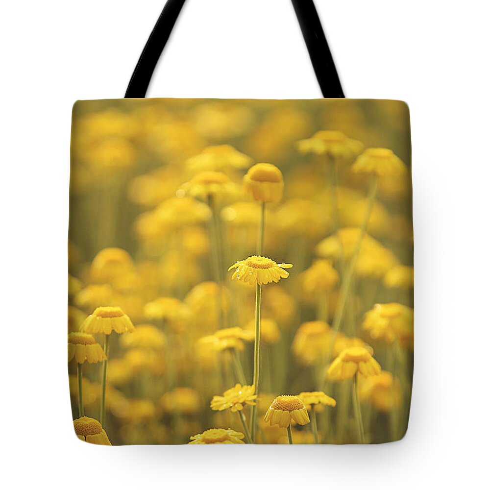 Summer Tote Bag featuring the photograph Yellow by Carrie Ann Grippo-Pike