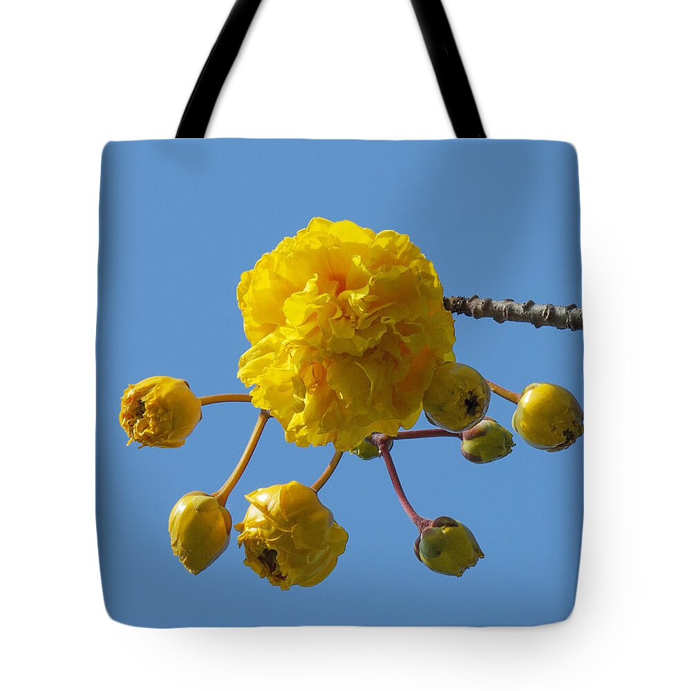 Nature Tote Bag featuring the photograph Yellow Cotton Tree DTHB1536 by Gerry Gantt