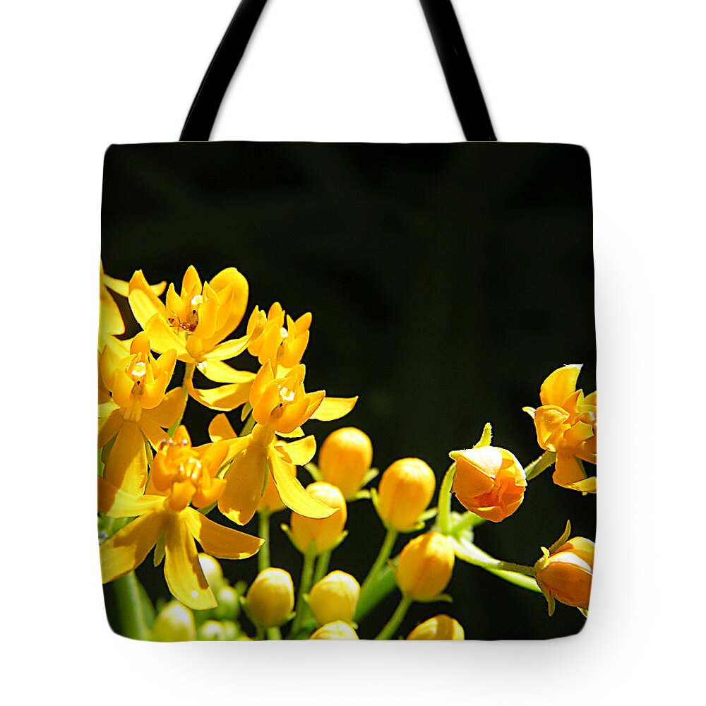 Yellow Tote Bag featuring the photograph Yellow Flowers by Adam Johnson