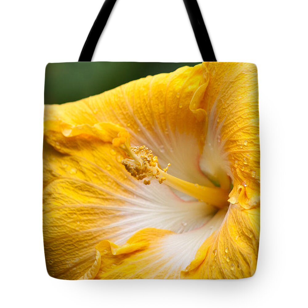 Nature Tote Bag featuring the photograph Yellow Hibiscus by Michael Porchik