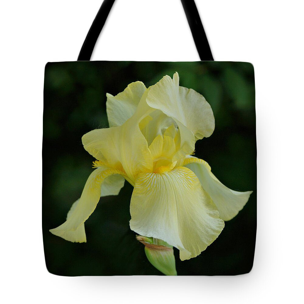 Yellow Iris Tote Bag featuring the photograph Yellow Iris by Sandy Keeton