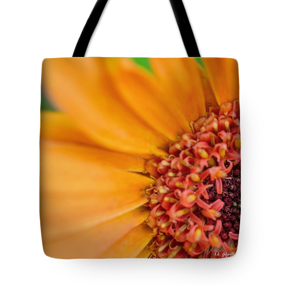 Orange Flower Tote Bag featuring the photograph Yellow Orange Gerbera Squared by TK Goforth