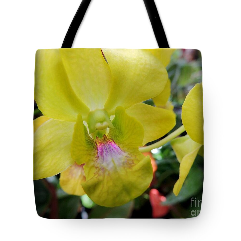 Orchid Tote Bag featuring the photograph Yellow Orchid by Kristine Widney