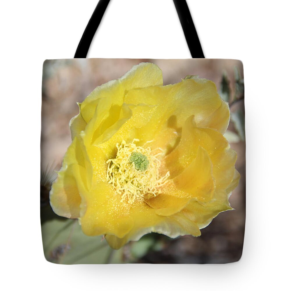 Blooming Tote Bag featuring the photograph Yellow Prickly Pear by Jemmy Archer