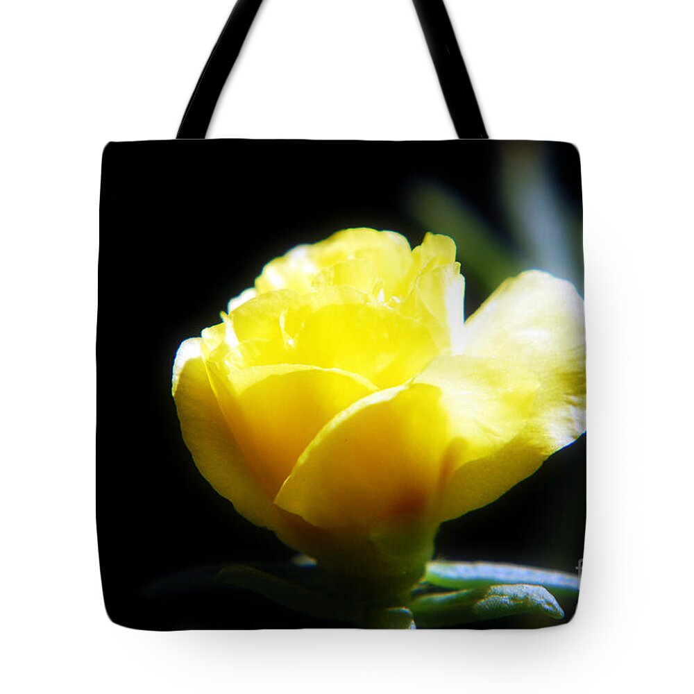 Macro Tote Bag featuring the photograph Yellow Primrose by Peggy Franz