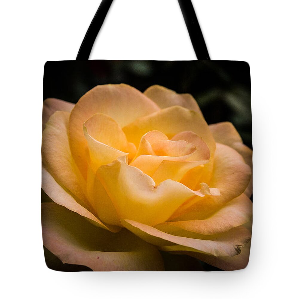 New England Tote Bag featuring the photograph Yellow ray of sunshine by Jeff Folger