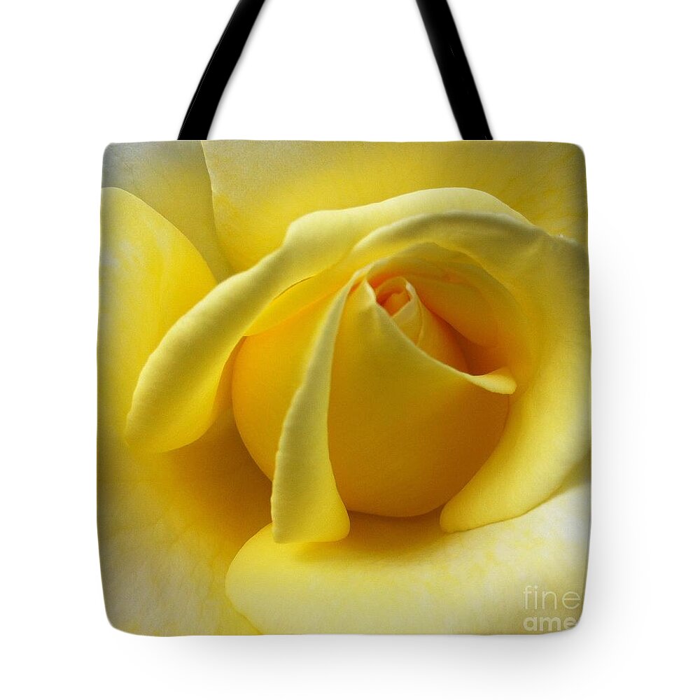 Flowers Tote Bag featuring the photograph Yellow Rose Softness by Susan Garren