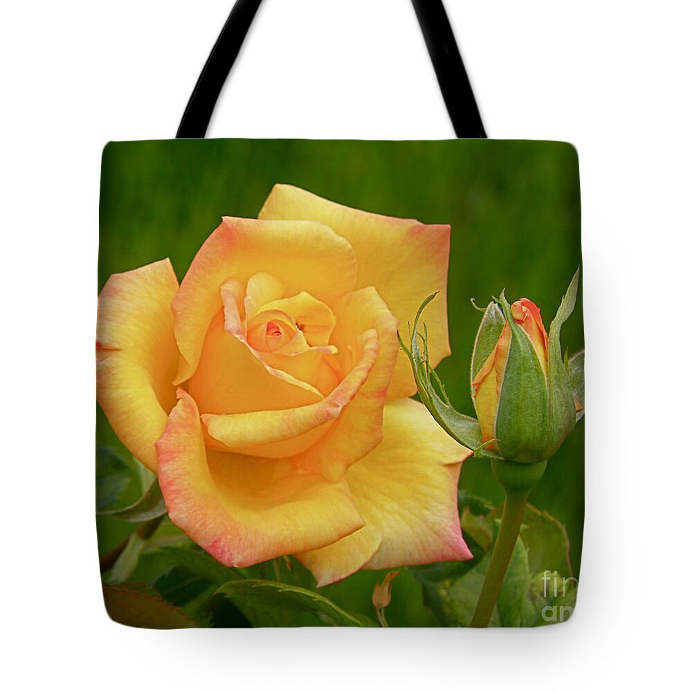 Rose Tote Bag featuring the photograph Yellow Rose with Bud by Debby Pueschel