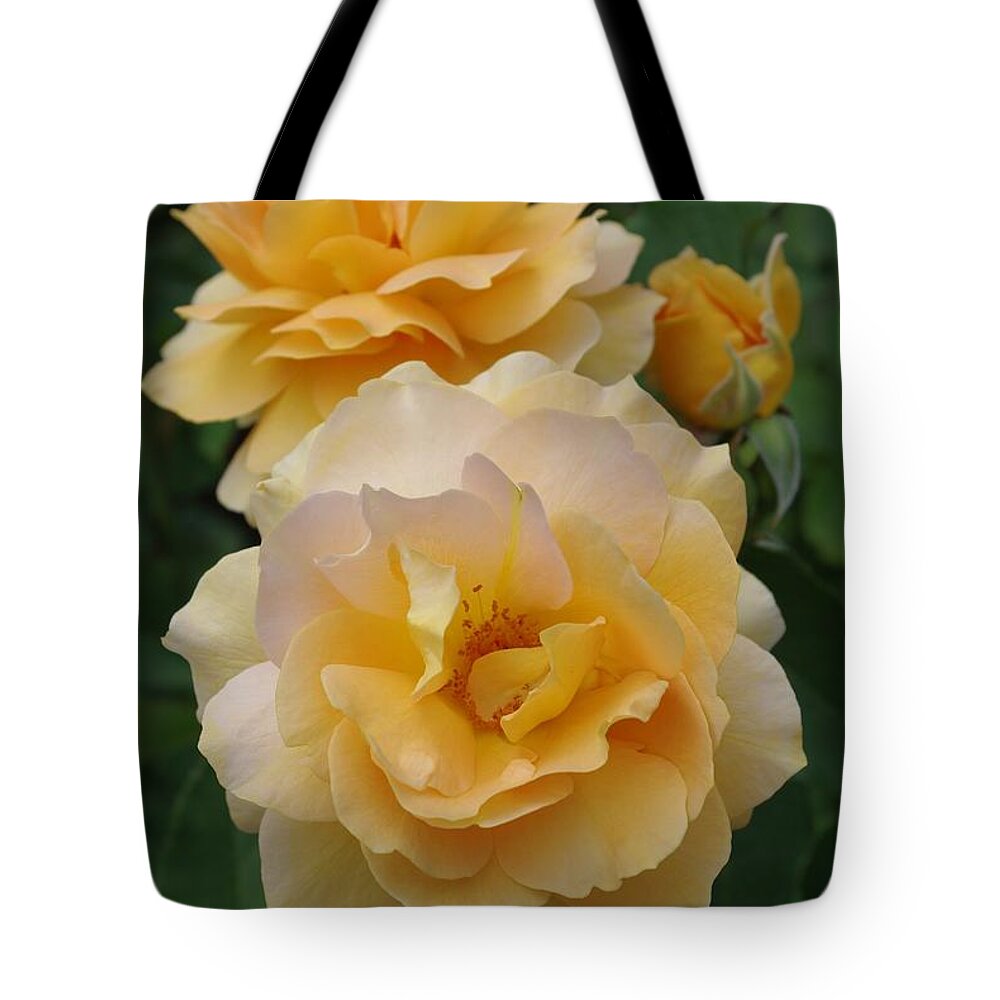 Roses Tote Bag featuring the photograph Yellow Roses by Marilyn Wilson