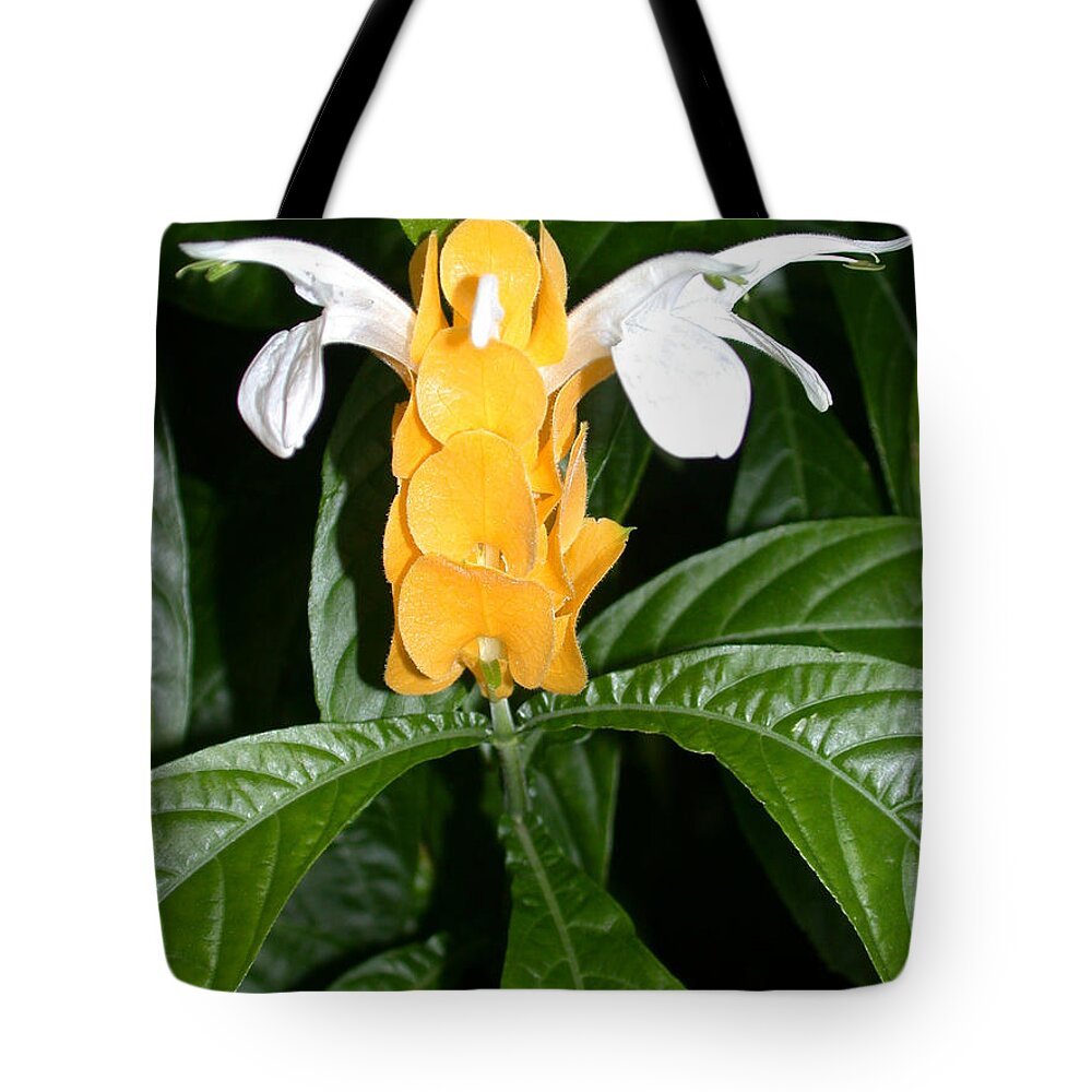 Justicia Brandegeeana Tote Bag featuring the photograph Yellow Shrimp Plant by Shane Bechler