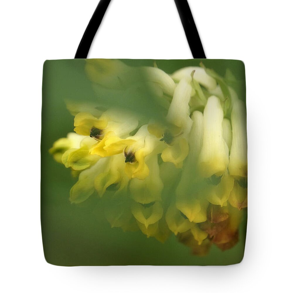 Yellow Tote Bag featuring the photograph Yellow spring by Inge Riis McDonald