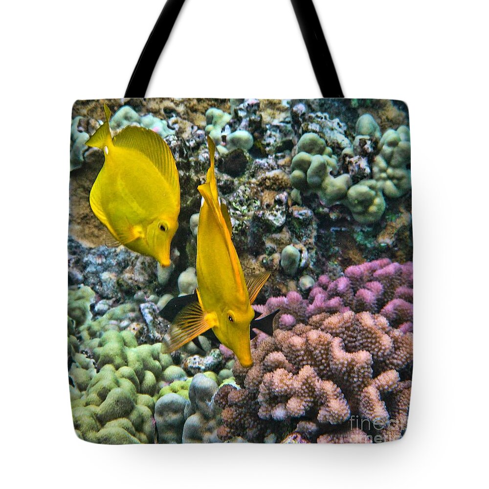 Yellow Tang Tote Bag featuring the photograph Yellow Tang Pair by Peggy Hughes