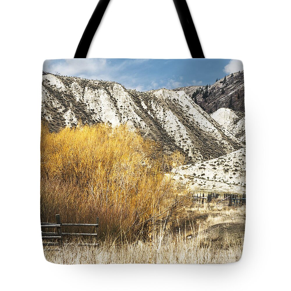Yellow Willow Tote Bag featuring the photograph Yellow Willow by Sandi Mikuse