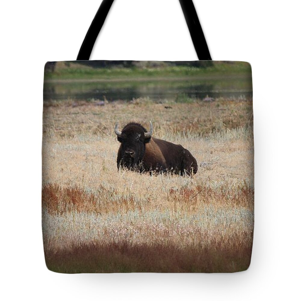 Bison Tote Bag featuring the photograph Yellowstone Bison by Veronica Batterson