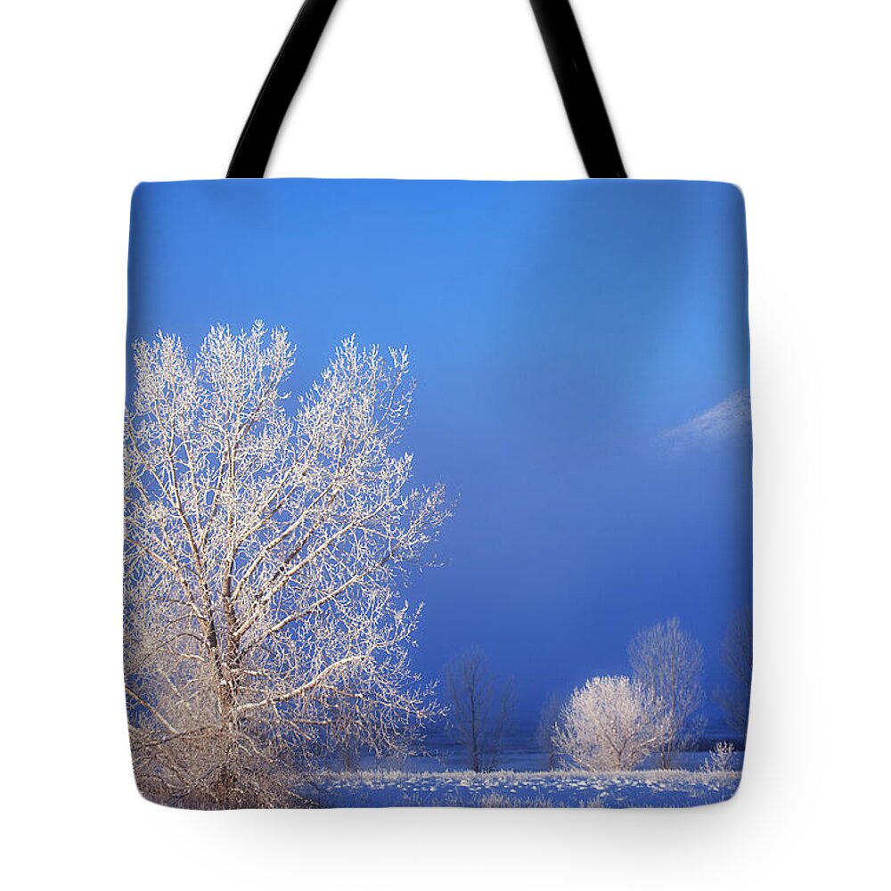 Ice Tote Bag featuring the photograph Yesterday's Blues by Darren White
