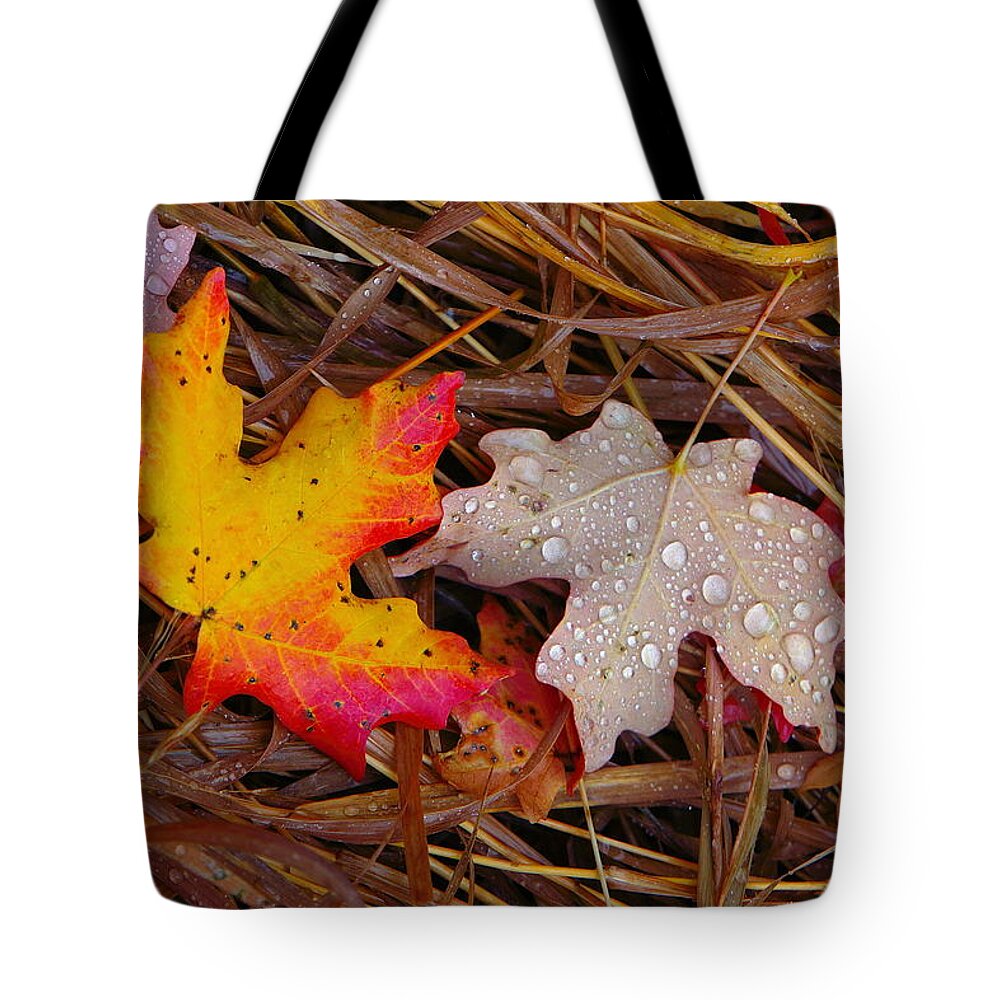Autumn Leafs Tote Bag featuring the photograph Yin Yang by David Andersen
