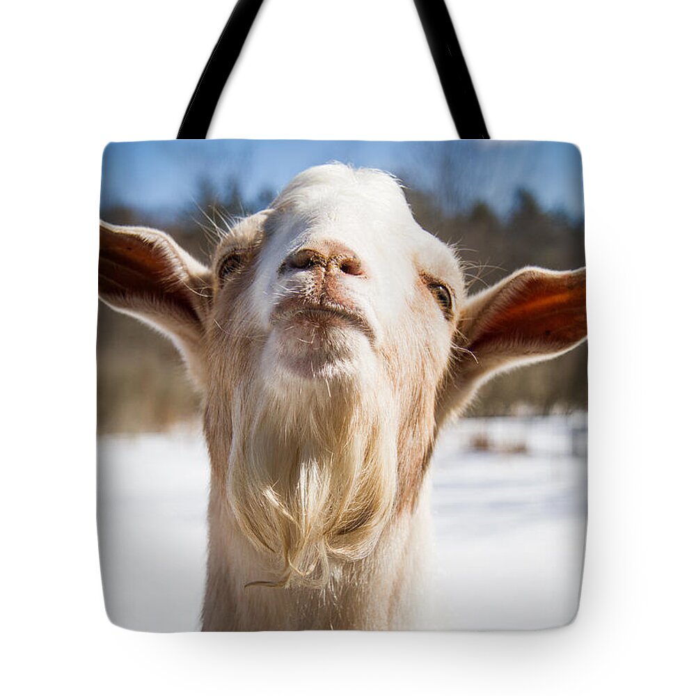Photograph Tote Bag featuring the photograph 'Yoda' Goat by Natalie Rotman Cote