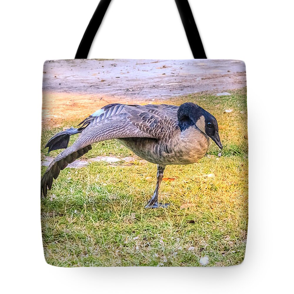 Animal Tote Bag featuring the photograph Yoga Goose by Traveler's Pics