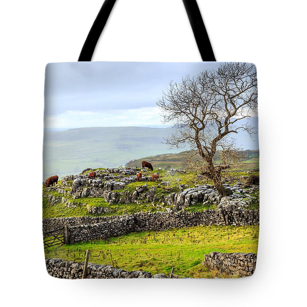 Yorkshire Tote Bag featuring the photograph Yorkshire Dales by Sue Leonard