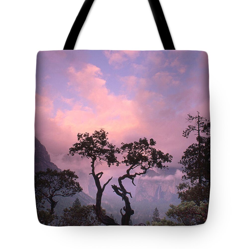 Scenic Tote Bag featuring the photograph Yosemite National Park by George Ranalli