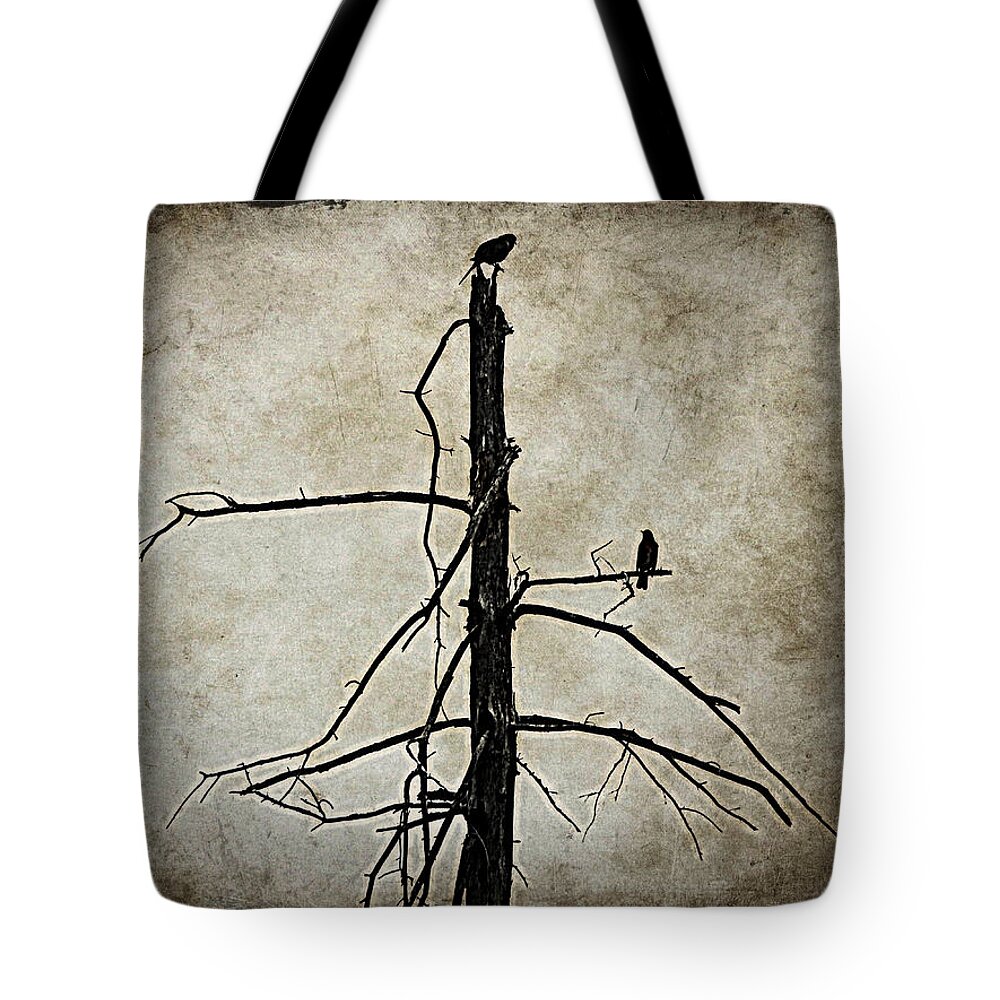 Birds Tote Bag featuring the photograph You Are In My Eyes by Zinvolle Art