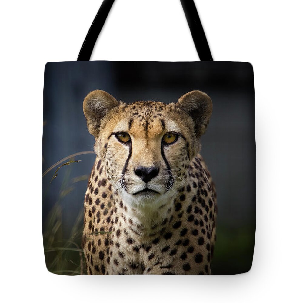 Long Tote Bag featuring the photograph You Lookin At Me by Alexturton