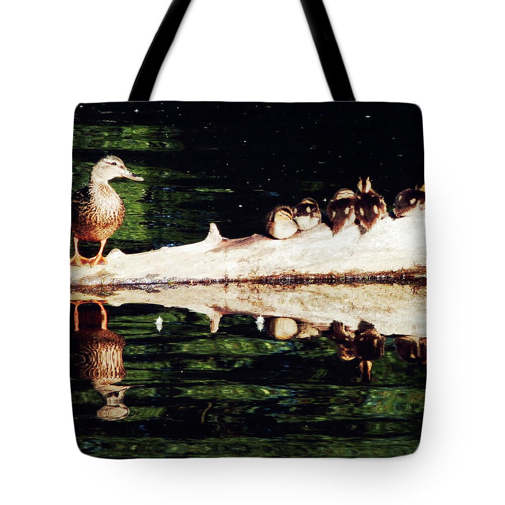 Ducks Tote Bag featuring the photograph You will always be here in my heart by Zinvolle Art