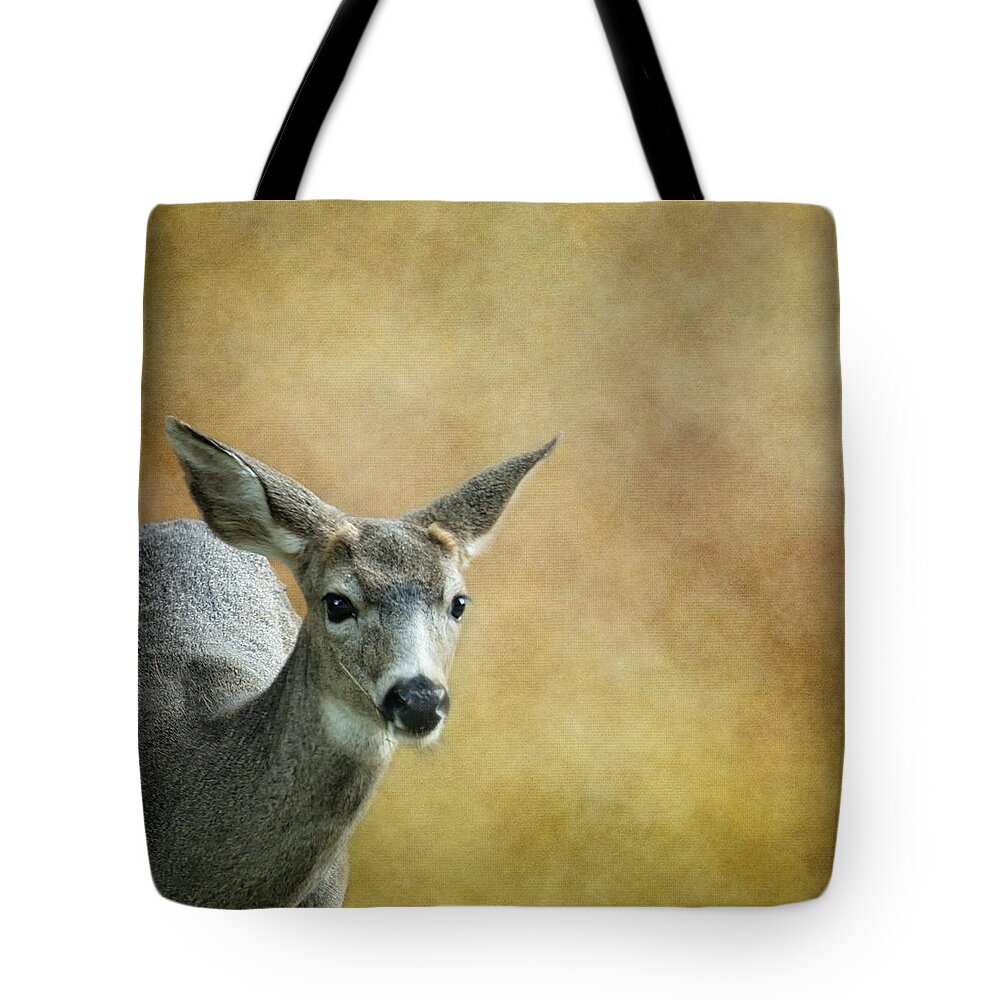 Deer Tote Bag featuring the photograph Young Buck by Belinda Greb