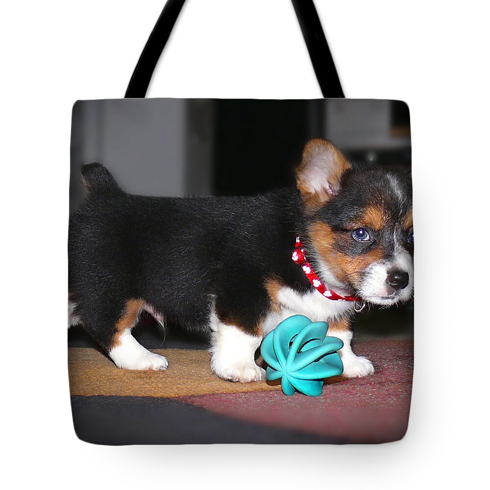 Dog Tote Bag featuring the photograph Young Otis Ray 2 by Mike McGlothlen