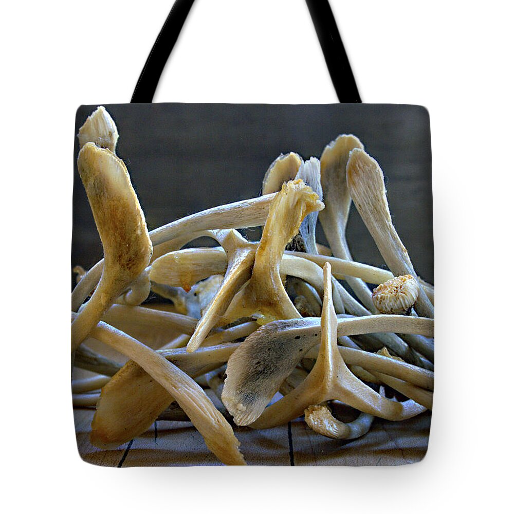 Wishes Tote Bag featuring the photograph Your Wishes Await by Joe Schofield