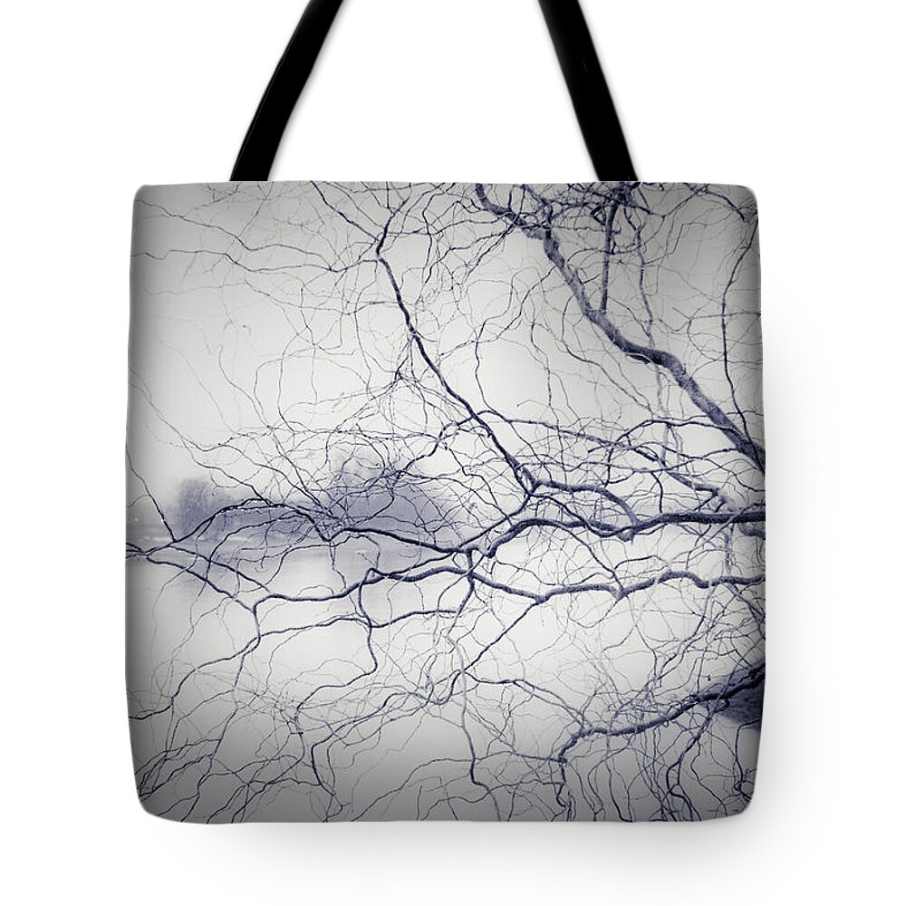 Tree Tote Bag featuring the photograph You're A Treemer by Dorit Fuhg