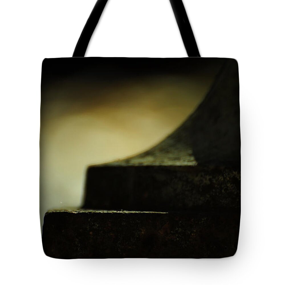 Metaphor Tote Bag featuring the photograph Youth Against the Sunrise by Rebecca Sherman