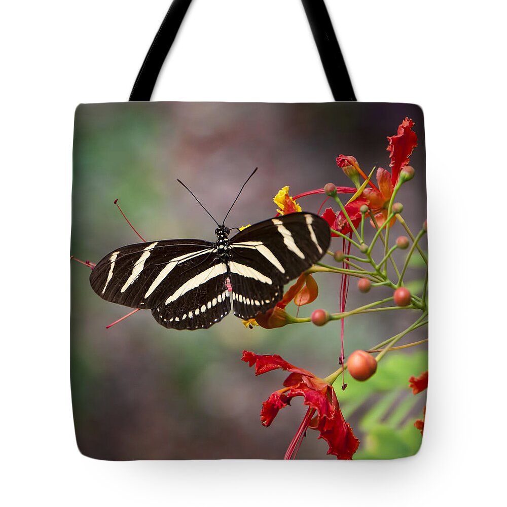 Zebra Longwing Butterfly Tote Bag featuring the photograph Zebra Longwing Butterfly by Phyllis Taylor