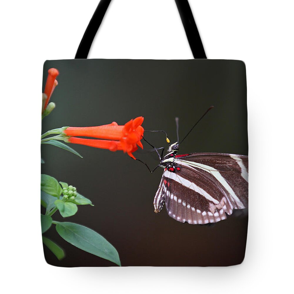 Florida Tote Bag featuring the photograph Zebra Longwing by Juergen Roth