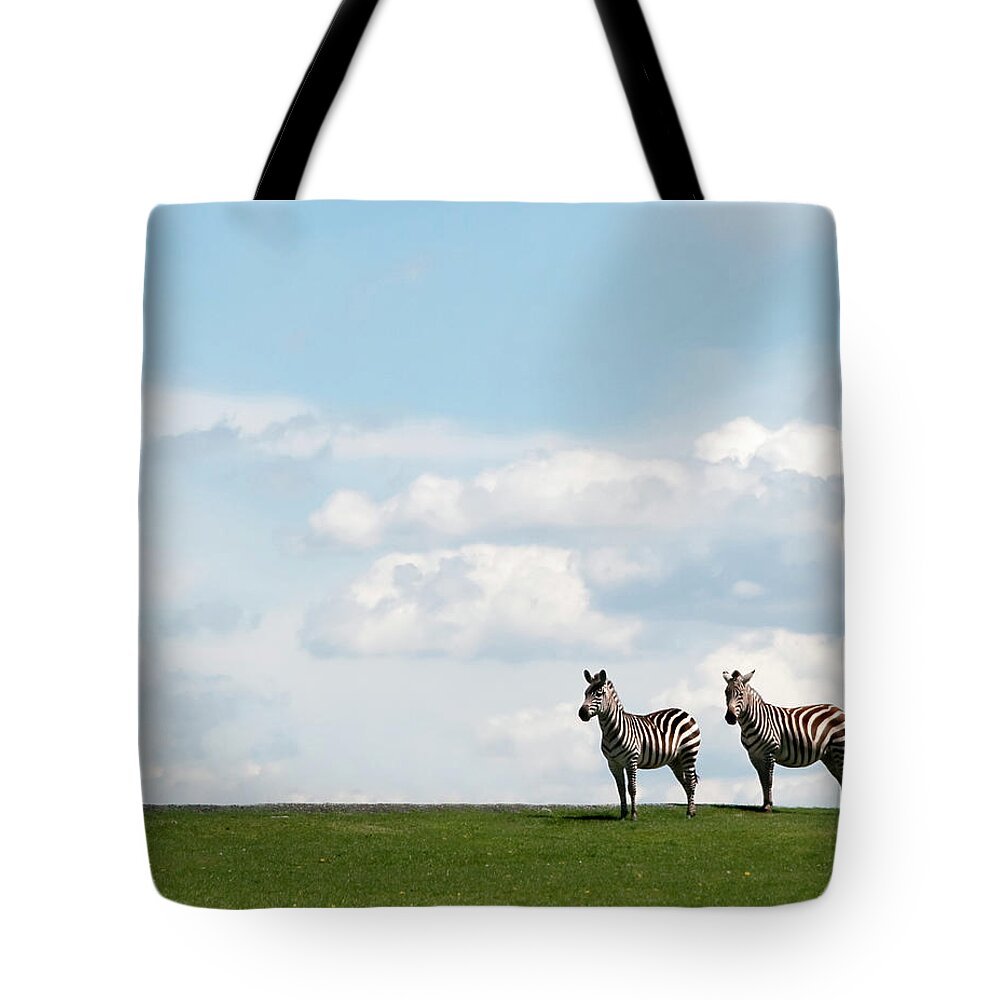Grass Tote Bag featuring the photograph Zebra Partners by Gail Shotlander