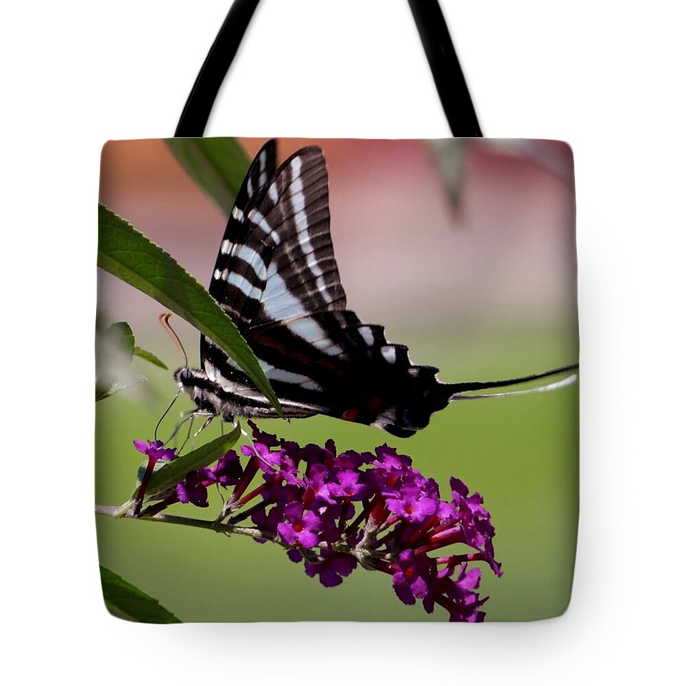 Butterfly Tote Bag featuring the photograph Zebra Swallowtail Butterfly by Keith Stokes