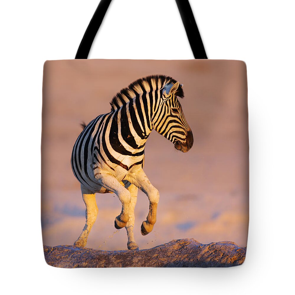 #faatoppicks Tote Bag featuring the photograph Zebras jump from waterhole by Johan Swanepoel