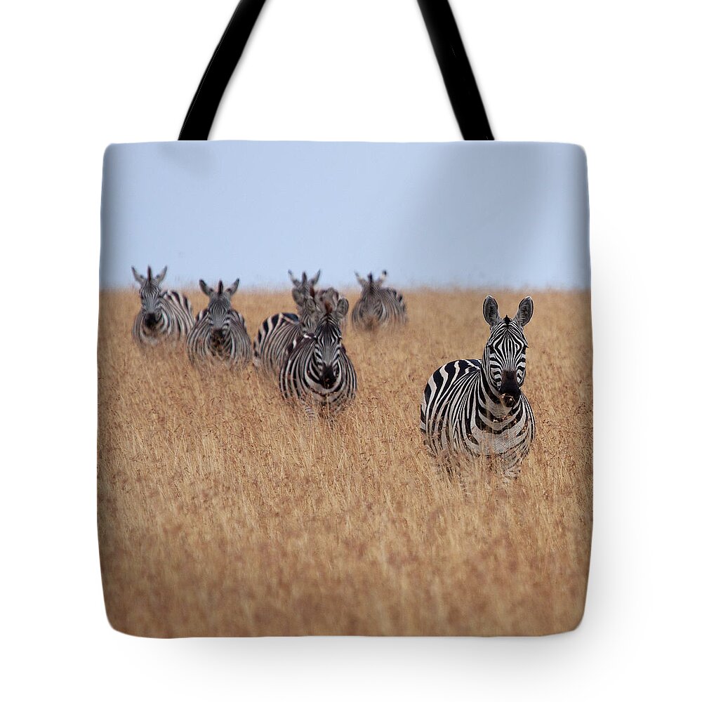 Kenya Tote Bag featuring the photograph Zebras by Photo By Roger Cave