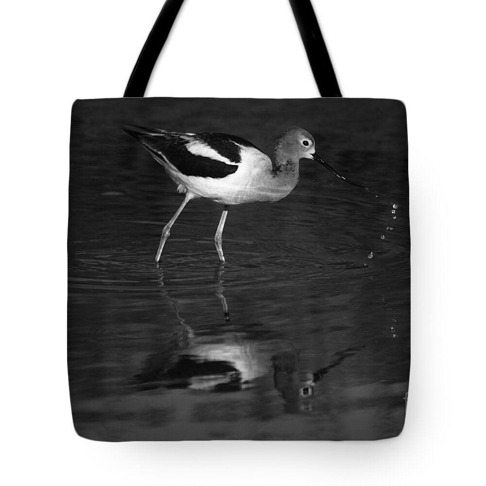American Avocet Tote Bag featuring the photograph Drops Of Zen by John F Tsumas