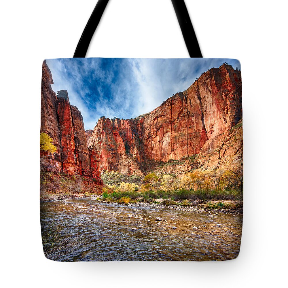 Zion National Park Tote Bag featuring the photograph Zion by Beth Sargent