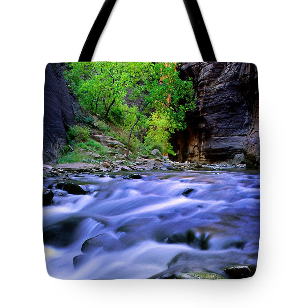 America Tote Bag featuring the photograph Zion Narrows by Inge Johnsson