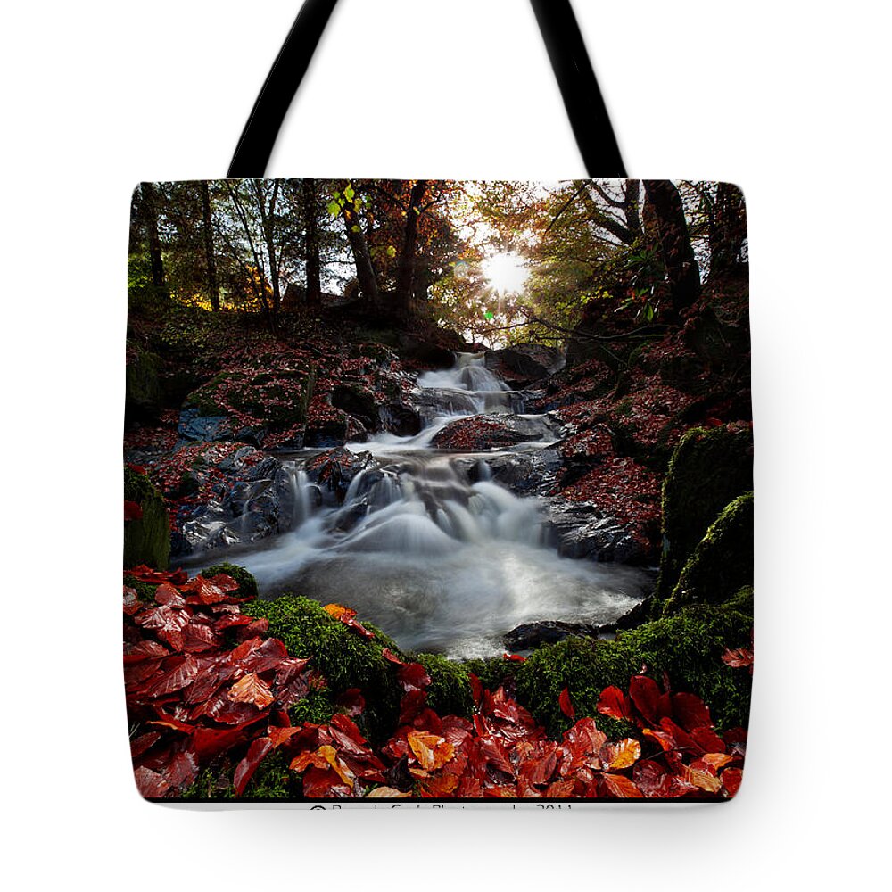 Fall Tote Bag featuring the photograph Falls in the fall by B Cash