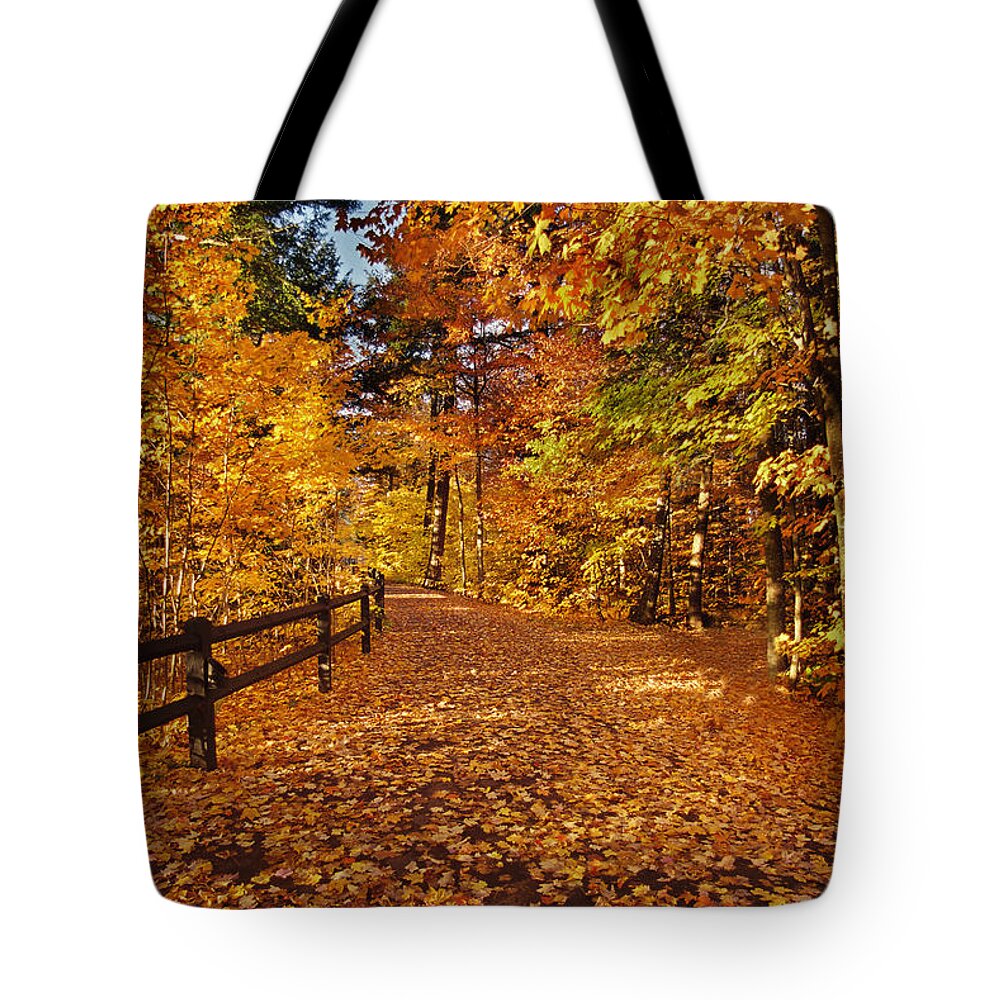 Fall Tote Bag featuring the photograph Golden Path by Ron Weathers
