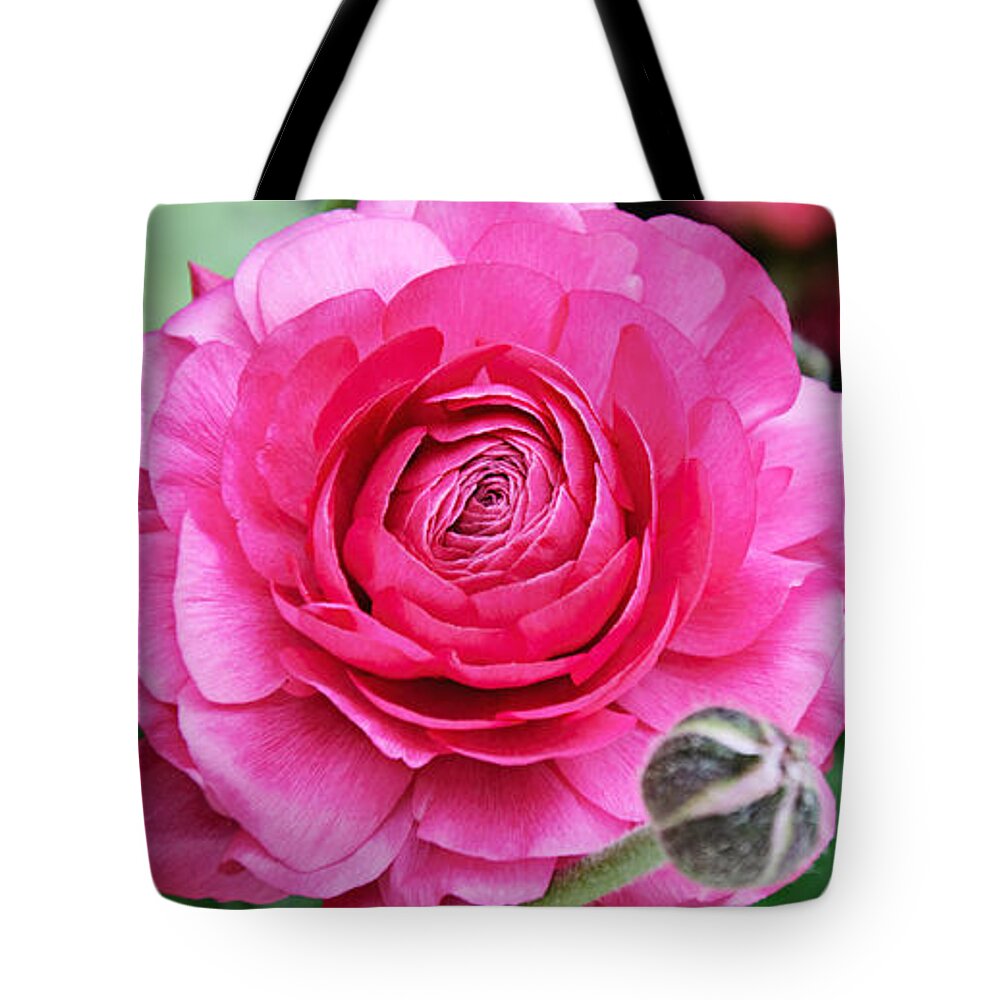 Ranunculus Tote Bag featuring the photograph The Essence And Elegance Of Pink by Andee Design