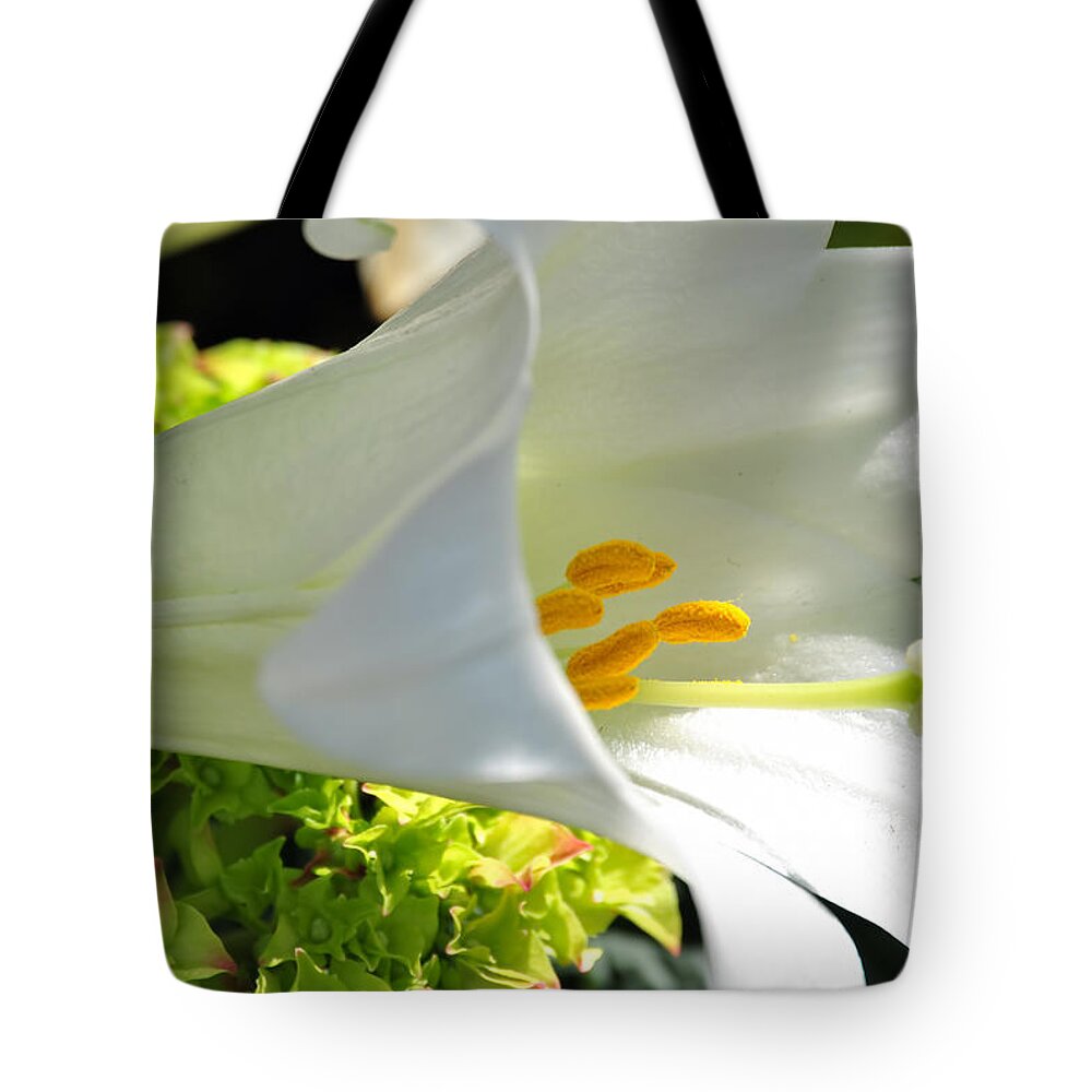  Tote Bag featuring the photograph 0019 Botanical Gardens Buffalo NY Series Gardens by Michael Frank Jr