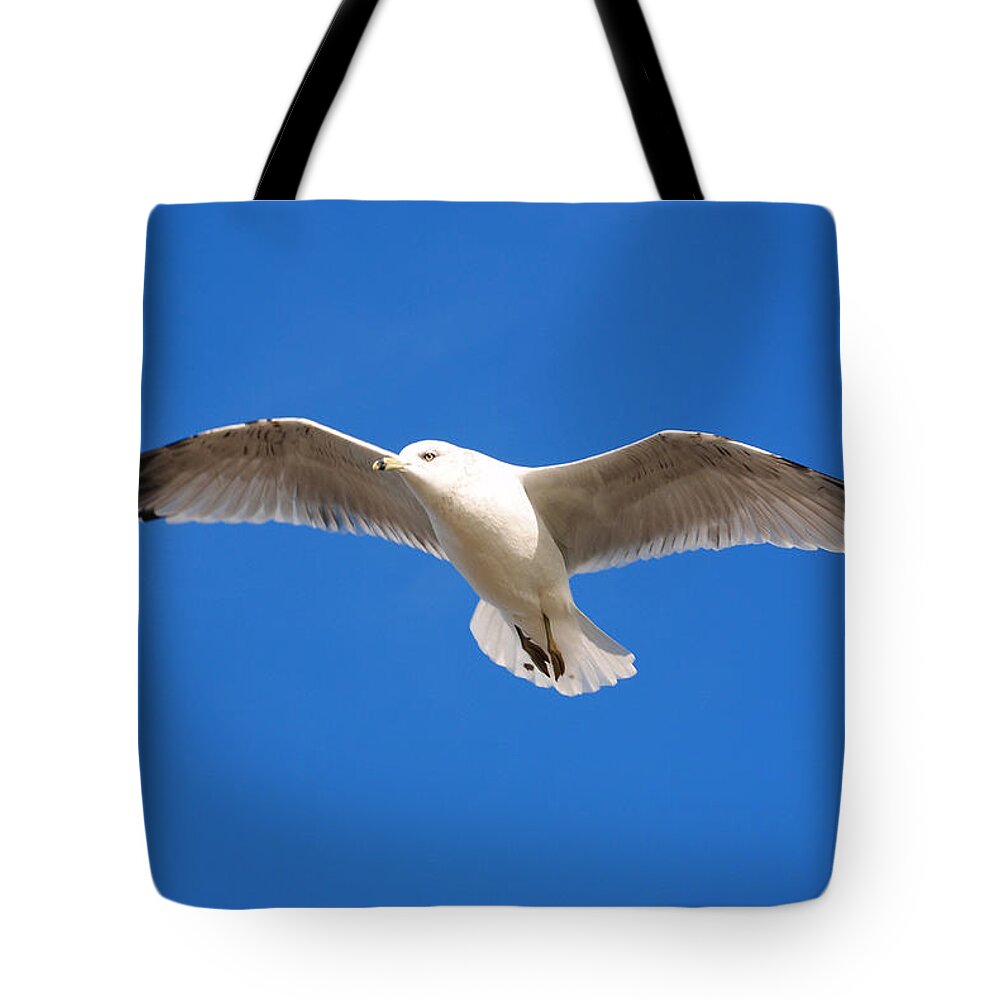  Tote Bag featuring the photograph 04 Seagulls by Michael Frank Jr